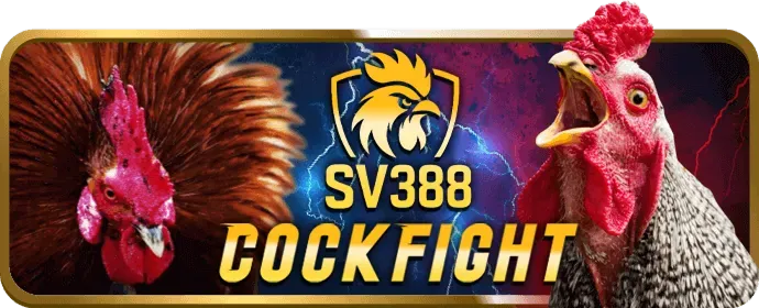 Form đăng ký 12win code